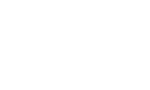 Experta Corporate Logo